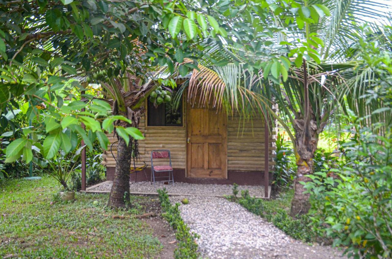 Hospedaje Y Alojamiento Cabanas Don Beto La Palma Екстериор снимка