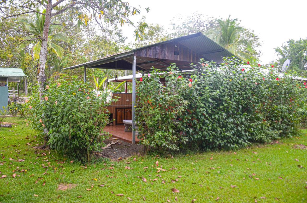 Hospedaje Y Alojamiento Cabanas Don Beto La Palma Екстериор снимка