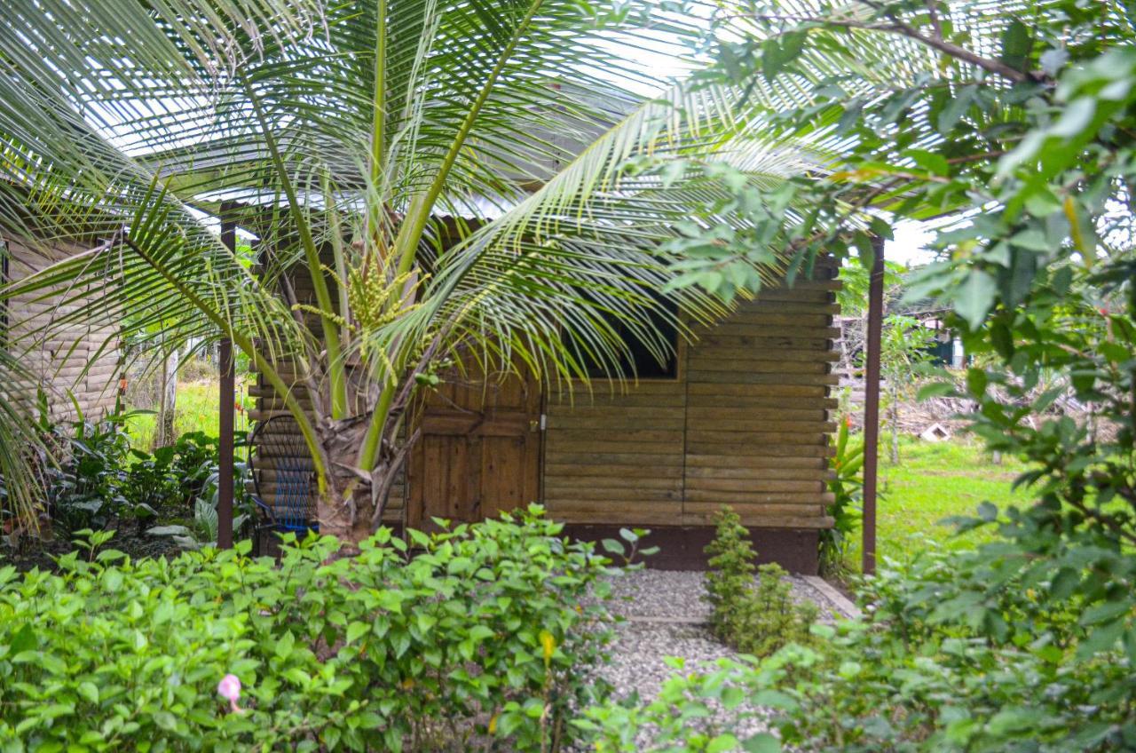 Hospedaje Y Alojamiento Cabanas Don Beto La Palma Екстериор снимка